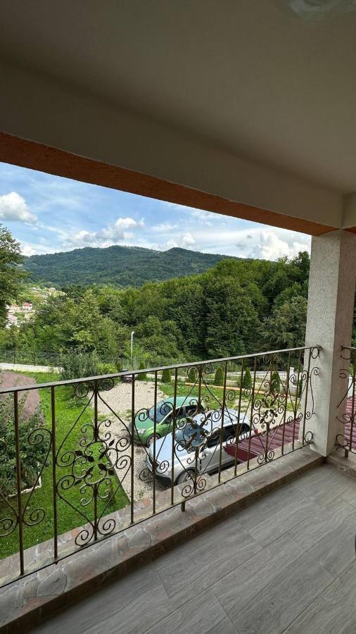 Casa M&M Apartment Viseu de Sus Bagian luar foto